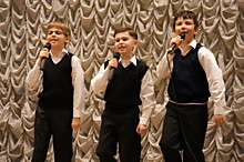 Трио "Добры молодцы" на выступлении